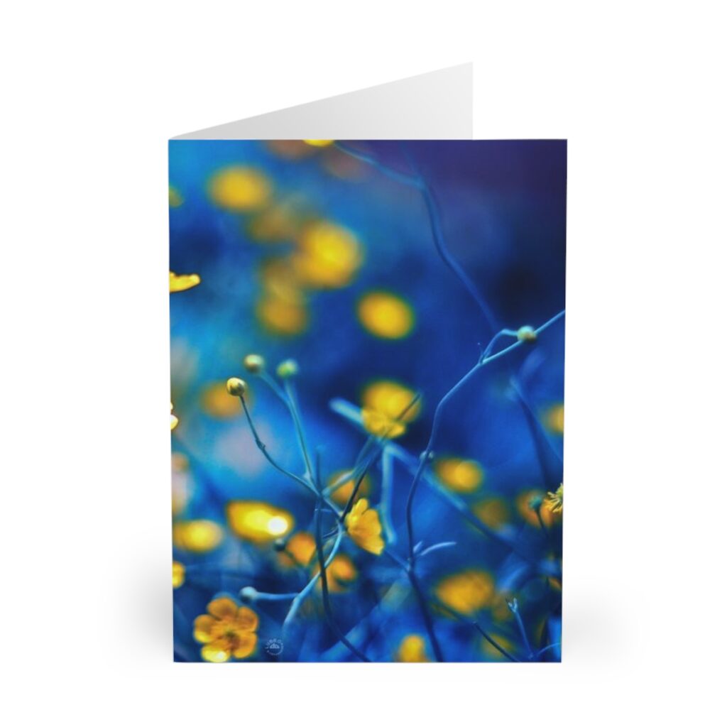 greeting cards “Blue-yellow flowers”