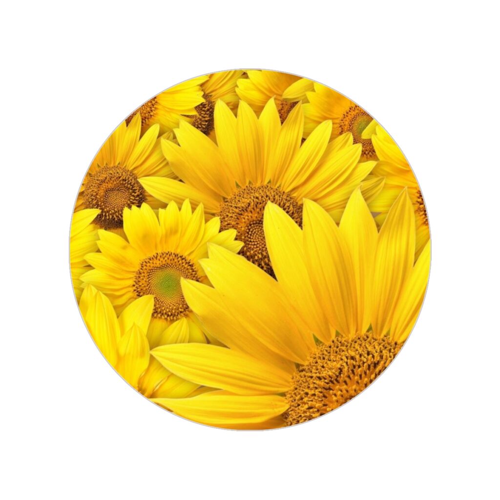 transparent outdoor stickers, round “Ukrainian sunflowers”