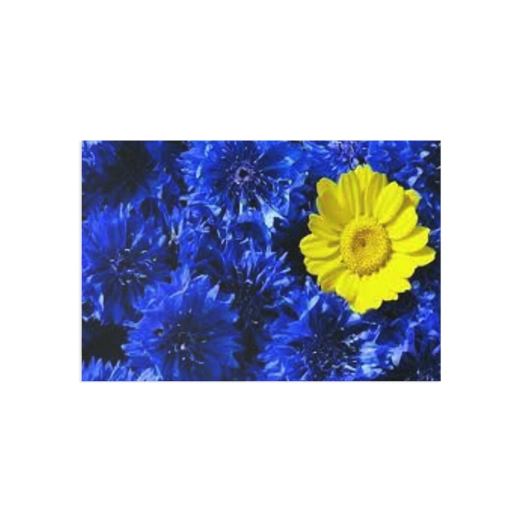 fine art postcards “Blue-yellow flowers”