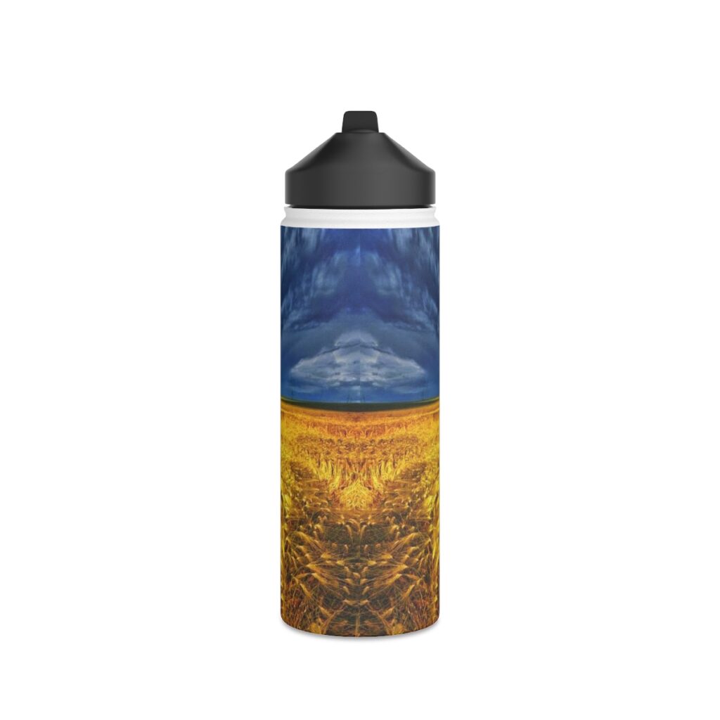 stainless steel water bottle “Blue and yellow”