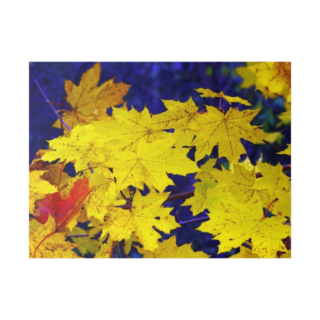 pictures “Ukrainian style, autumn leaves”