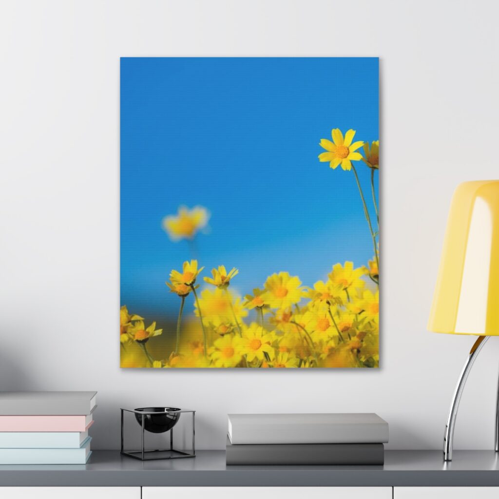 canvas gallery wraps “Blue-yellow daisies”