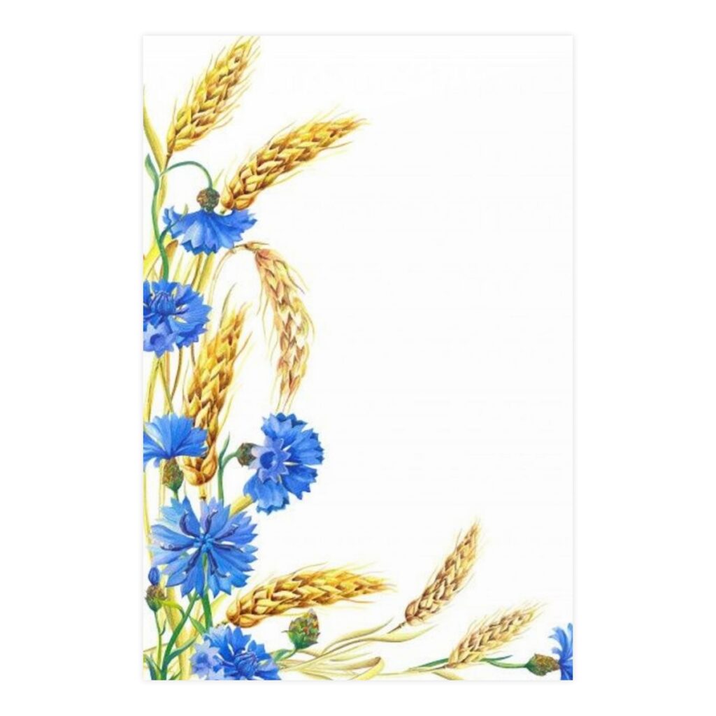 vertical and horizontal matte posters “Ukrainian Cornflowers”