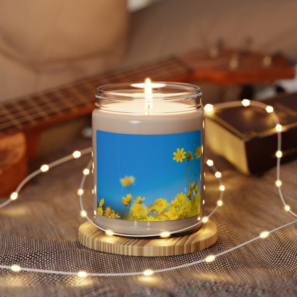 scented soy candle “Blue-yellow daisies”