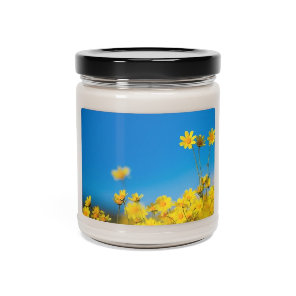 scented soy candle “Blue-yellow daisies”