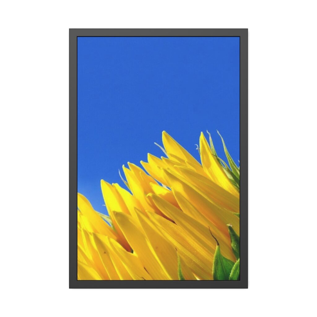 framed paper posters “Blue-yellow tulips”